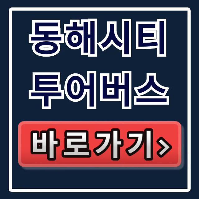 동해시티투어버스, 아무도 모르는 극비 할인!