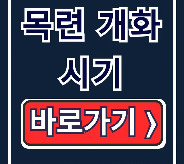 목련 개화시기 김해 경주 목련 명소 총정리 목련 개화시기 김해 경주 목련 명소 총정리