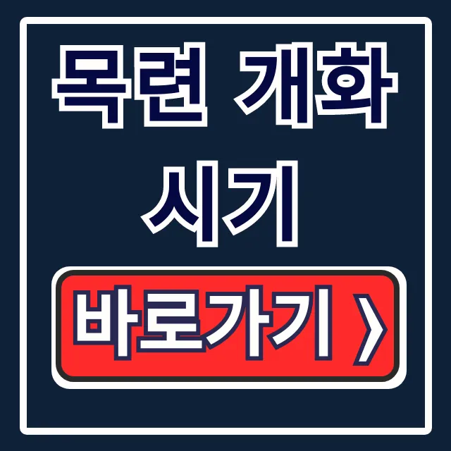 목련 개화시기 김해 경주 목련 명소 총정리