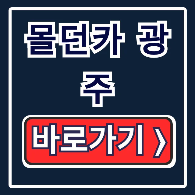 몰던카 광주: 중고차 매물-상담-구매 총정리