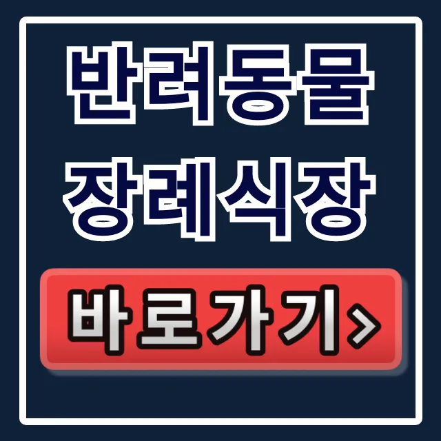 반려동물 장례식장 비용부터 내 근처까지 총정리 반려동물 장례식장 비용부터 내 근처까지 총정리