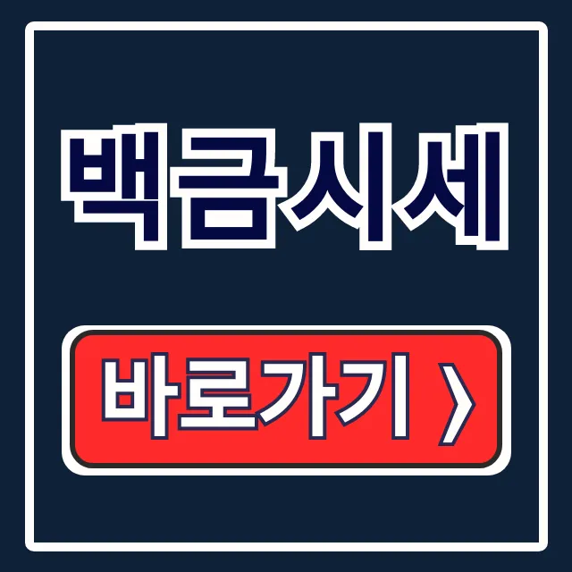 백금시세 오늘 1돈 국제시세 총정리 백금시세 오늘 1돈 국제시세 총정리