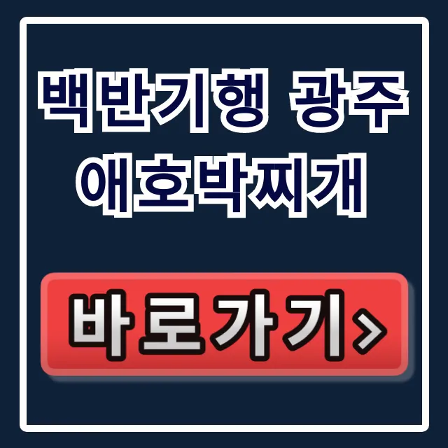 백반기행 광주 애호박찌개: 육회비빔밥 위치 예약 완벽 가이드 백반기행 광주 애호박찌개: 육회비빔밥 위치 예약 완벽 가이드