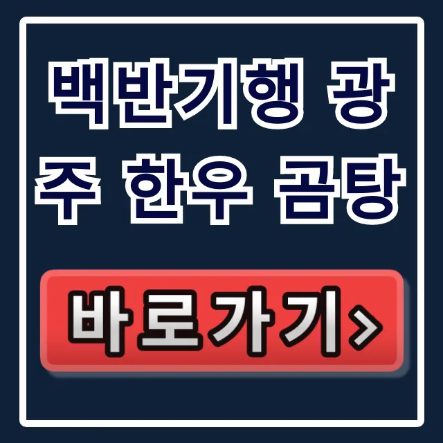 백반기행 광주 한우 곰탕, 이종범 단골 노포 수육 총정리 백반기행 광주 한우 곰탕, 이종범 단골 노포 수육 총정리