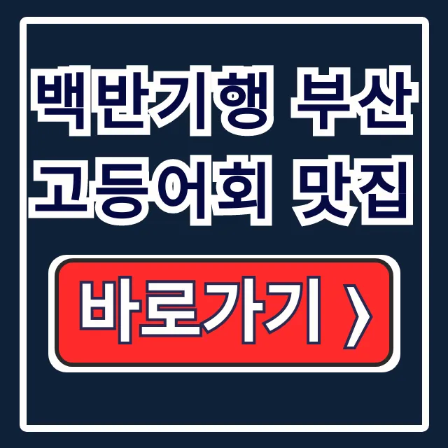 백반기행 부산 연산동 고등어회 맛집, 모듬회 가격 백반기행 부산 연산동 고등어회 맛집, 모듬회 가격