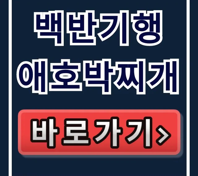 백반기행 애호박찌개! 이종범 단골 광주 맛집 생고기비빔밥 백반기행 애호박찌개! 이종범 단골 광주 맛집 생고기비빔밥