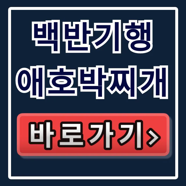백반기행 애호박찌개! 이종범 단골 광주 맛집 생고기비빔밥 백반기행 애호박찌개! 이종범 단골 광주 맛집 생고기비빔밥