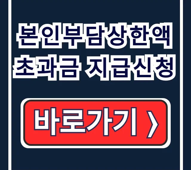 본인부담상한액 초과금 지급신청 환급 총정리 본인부담상한액 초과금 지급신청 환급 총정리