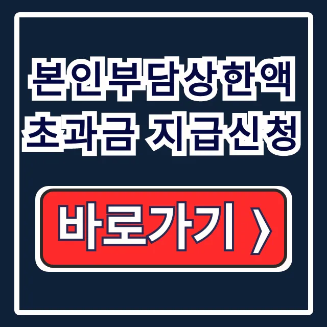본인부담상한액 초과금 지급신청 환급 총정리 본인부담상한액 초과금 지급신청 환급 총정리