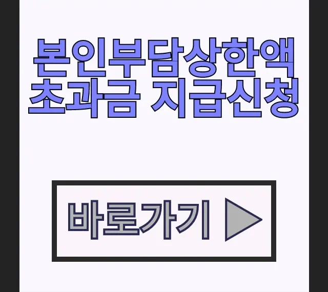 본인부담상한제 국민건강보험공단 환급! 본인부담상한액 초과금 지급신청 기간 본인부담상한제 국민건강보험공단 환급! 본인부담상한액 초과금 지급신청 기간
