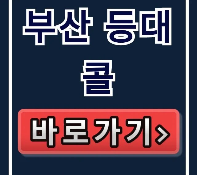 부산 등대콜 예약부터 대형 콜택시까지 완벽 가이드