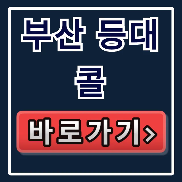 부산 등대콜 예약부터 대형 콜택시까지 완벽 가이드 부산 등대콜 예약부터 대형 콜택시까지 완벽 가이드