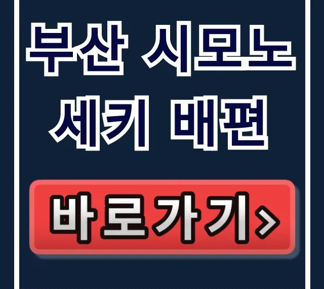 부산 시모노세키 배편 직원만 아는 숨은 특가! 부산 시모노세키 배편 직원만 아는 숨은 특가!