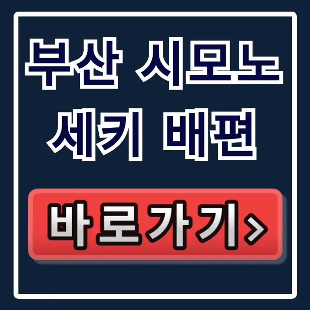부산 시모노세키 배편 직원만 아는 숨은 특가! 부산 시모노세키 배편 직원만 아는 숨은 특가!