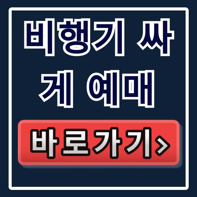 비행기 싸게 예매 꿀팁, 최저가 총정리 비행기 싸게 예매 꿀팁, 최저가 총정리