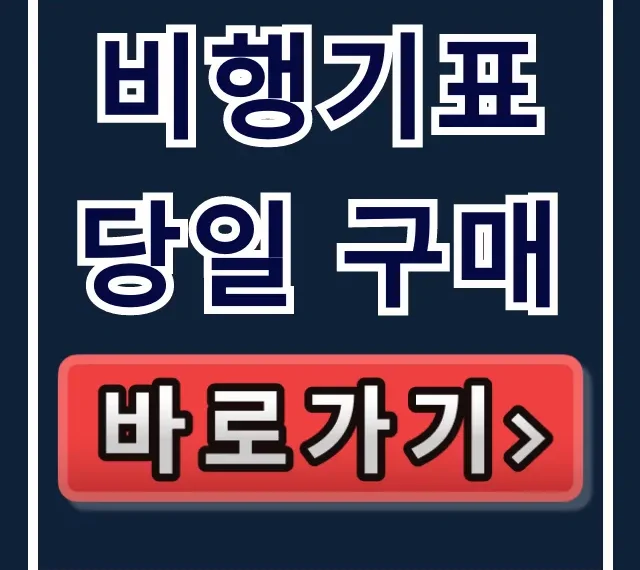 비행기표 당일 구매 긴급 상황 최저가 꿀팁