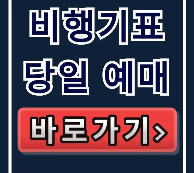 비행기표 당일 예매, 최저가 긴급 발권 꿀팁 비행기표 당일 예매, 최저가 긴급 발권 꿀팁