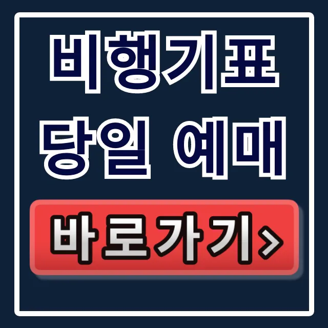 비행기표 당일 예매, 최저가 긴급 발권 꿀팁