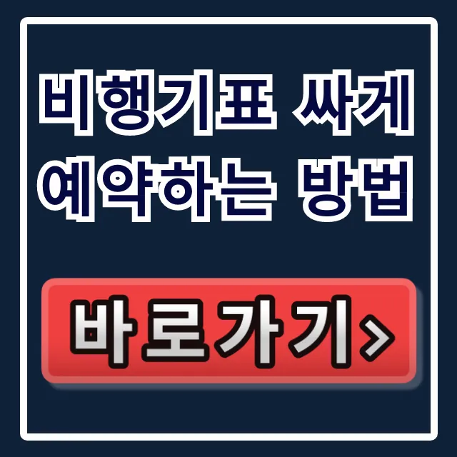 비행기표 싸게 예약하는 방법 최저가 꿀팁 총정리 비행기표 싸게 예약하는 방법 최저가 꿀팁 총정리
