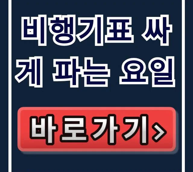 비행기표 싸게 파는 요일, 최저가 항공권 예약 꿀팁 비행기표 싸게 파는 요일, 최저가 항공권 예약 꿀팁