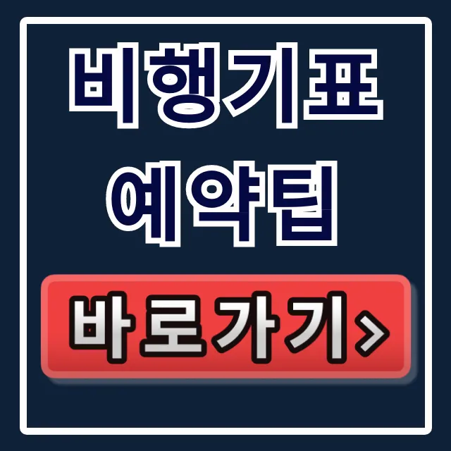 비행기표예약팁! 항공권 싸게 사는 완벽 가이드 비행기표예약팁! 항공권 싸게 사는 완벽 가이드