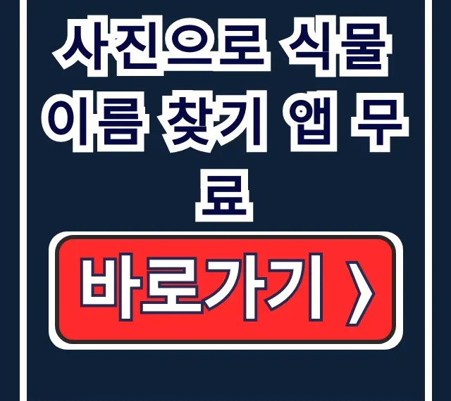 사진으로 식물 이름 찾기 앱 무료, 꽃 이름까지!