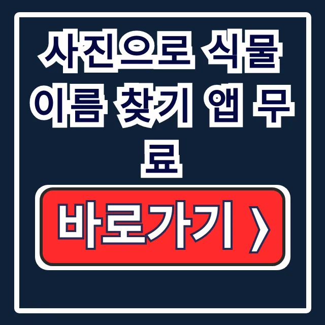 사진으로 식물 이름 찾기 앱 무료, 사진 식물 인식 총정리 사진으로 식물 이름 찾기 앱 무료, 사진 식물 인식 총정리
