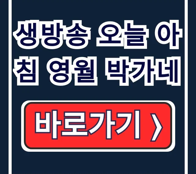 생방송 오늘 아침 영월 박가네 현지인 맛집 위치 생방송 오늘 아침 영월 박가네 현지인 맛집 위치
