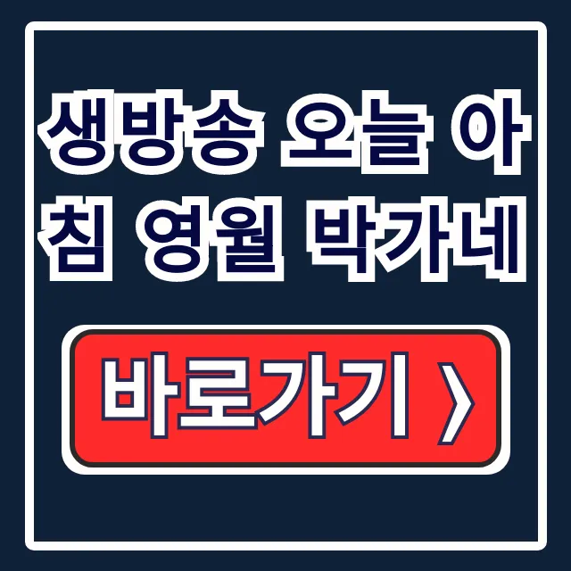 생방송 오늘 아침 영월 박가네 현지인 맛집 위치