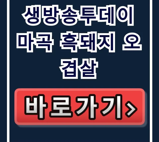 생방송투데이 마곡 흑돼지 오겹살: 제주 흑돼지 찐 맛집 후기