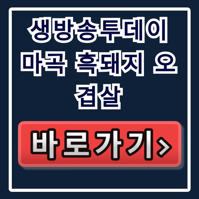 생방송투데이 마곡 흑돼지 오겹살: 제주 흑돼지 찐 맛집 후기