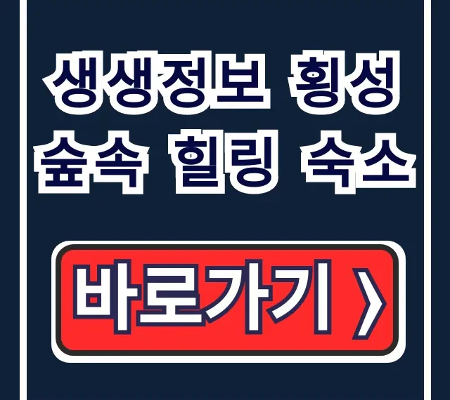 생생정보 횡성 숲속 힐링 숙소 청태산 예약 꿀팁