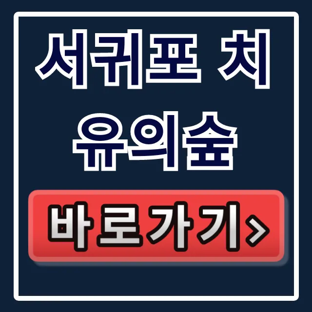 서귀포 치유의숲 예약 방법부터 코스 꿀팁까지!