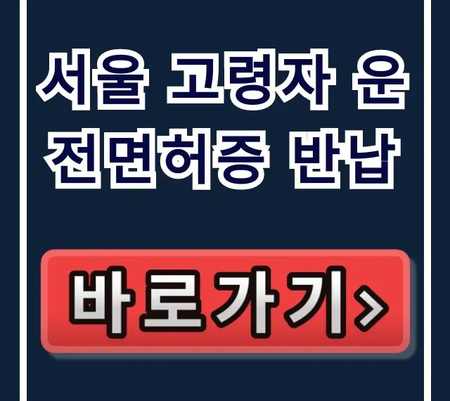 서울 고령자 운전면허증 반납 방법과 혜택 총정리 서울 고령자 운전면허증 반납 방법과 혜택 총정리