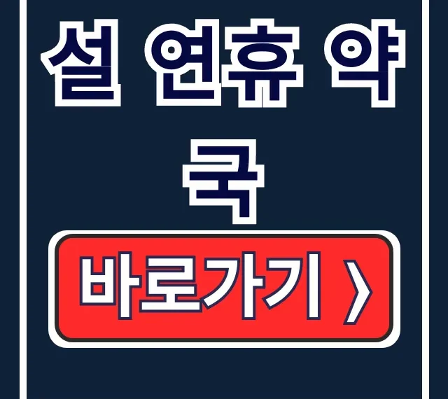 설 연휴 약국 내 근처 응급의료포털로 찾기