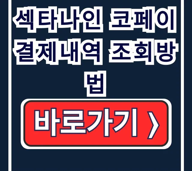 섹타나인 코페이 낯선 결제? 결제내역 조회! 섹타나인 코페이 낯선 결제? 결제내역 조회!