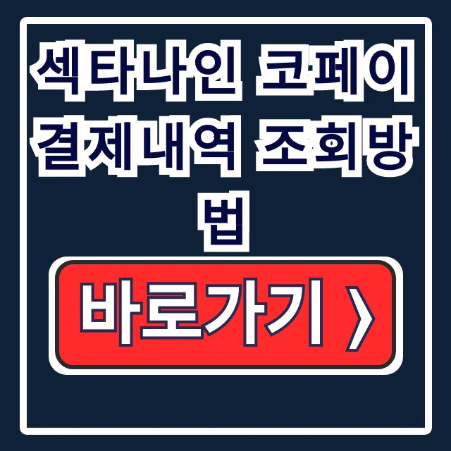 섹타나인 코페이 낯선 결제? 결제내역 조회! 섹타나인 코페이 낯선 결제? 결제내역 조회!