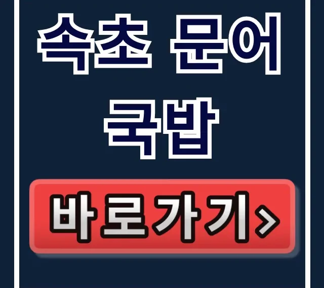 속초 문어국밥 동네한바퀴 맛집 총정리 속초 문어국밥 동네한바퀴 맛집 총정리