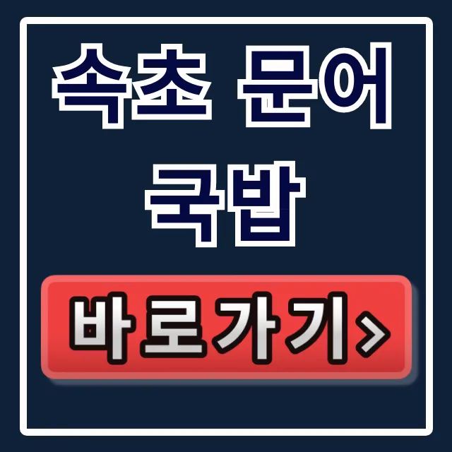 속초 문어국밥 동네한바퀴 맛집 총정리 속초 문어국밥 동네한바퀴 맛집 총정리