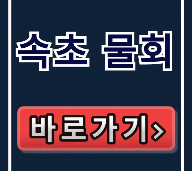 속초 물회 동네한바퀴 교동 맛집 위치 총정리 속초 물회 동네한바퀴 교동 맛집 위치 총정리