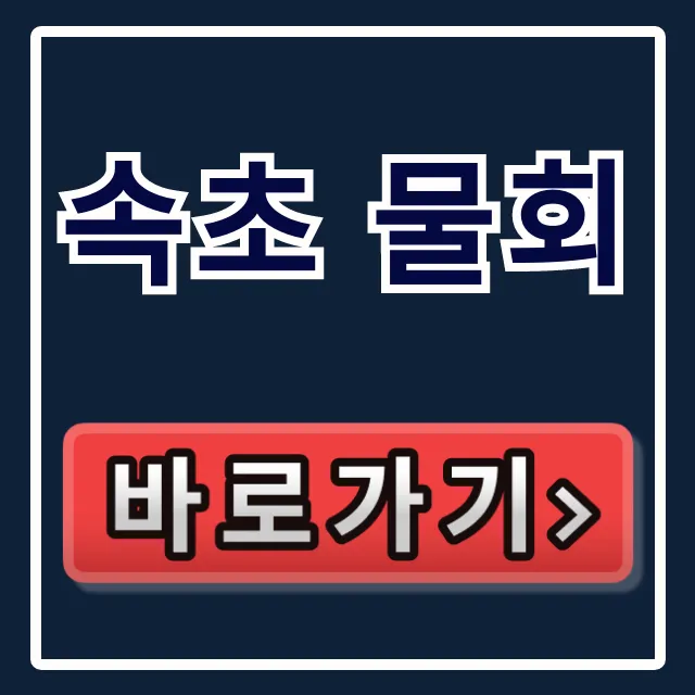 속초 물회 동네한바퀴 교동 맛집 위치 총정리 속초 물회 동네한바퀴 교동 맛집 위치 총정리