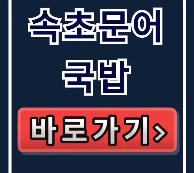 속초문어국밥 동네한바퀴 운영시간 주차 총정리 속초문어국밥 동네한바퀴 운영시간 주차 총정리