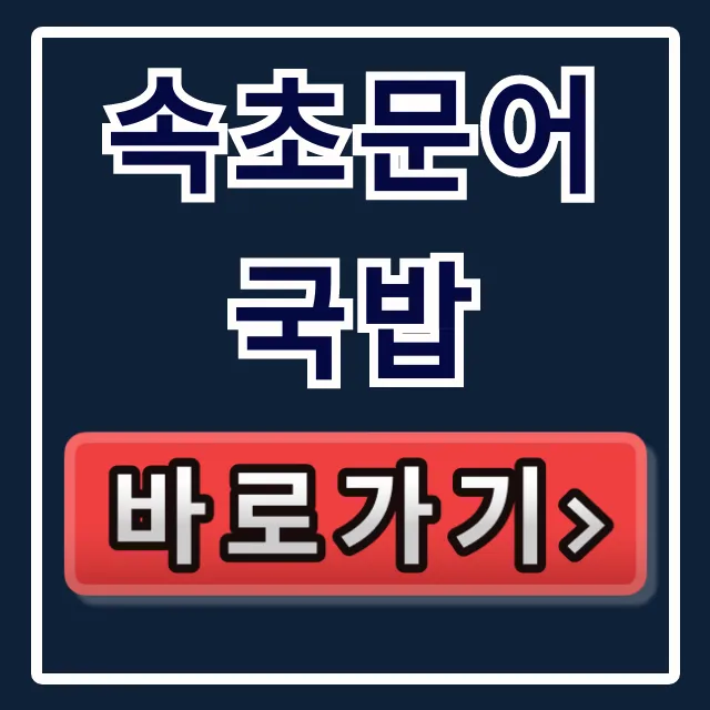 속초문어국밥 동네한바퀴 운영시간 주차 총정리 속초문어국밥 동네한바퀴 운영시간 주차 총정리