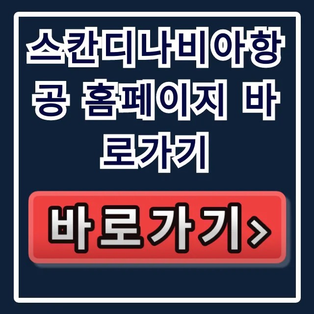 스칸디나비아항공 홈페이지 바로가기 북유럽 예약 팁 스칸디나비아항공 홈페이지 바로가기 북유럽 예약 팁