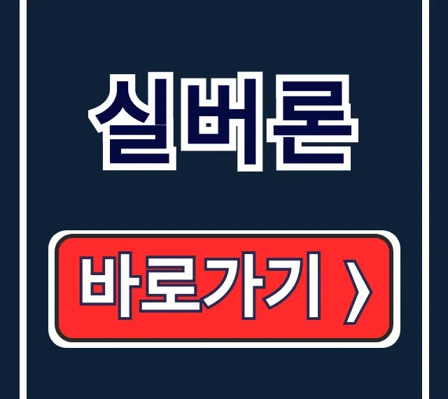 실버론 신청방법 자격 한도 완벽 총정리 실버론 신청방법 자격 한도 완벽 총정리