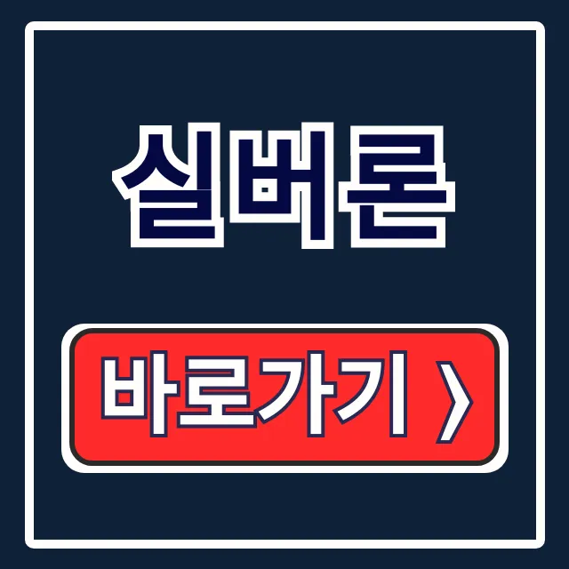 실버론 자격, 신청방법, 한도 완벽 가이드