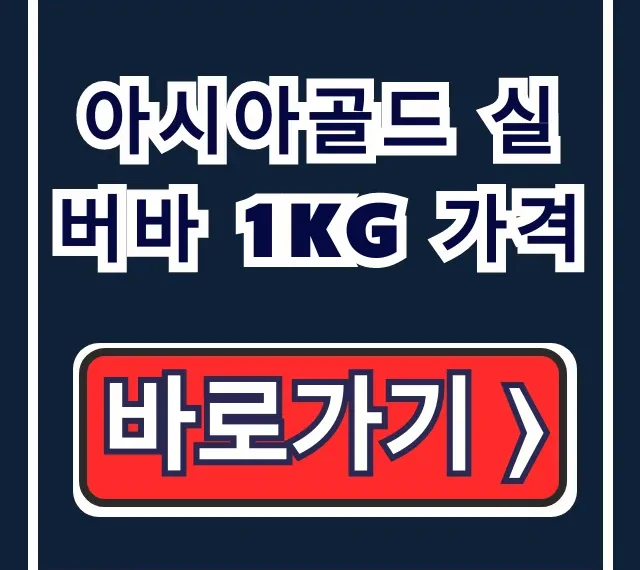 아시아골드 실버바 1kg 가격, 은 투자 시세 총정리 아시아골드 실버바 1kg 가격, 은 투자 시세 총정리