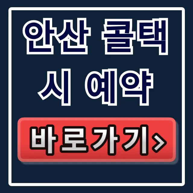 안산 콜택시 예약, 안산 택시 부르는법 완벽 가이드