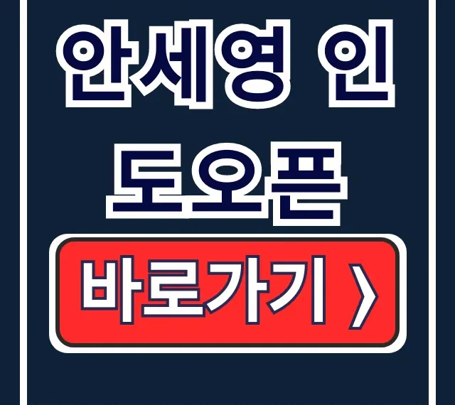 안세영 인도오픈 준결승 경기 일정 중계 총정리