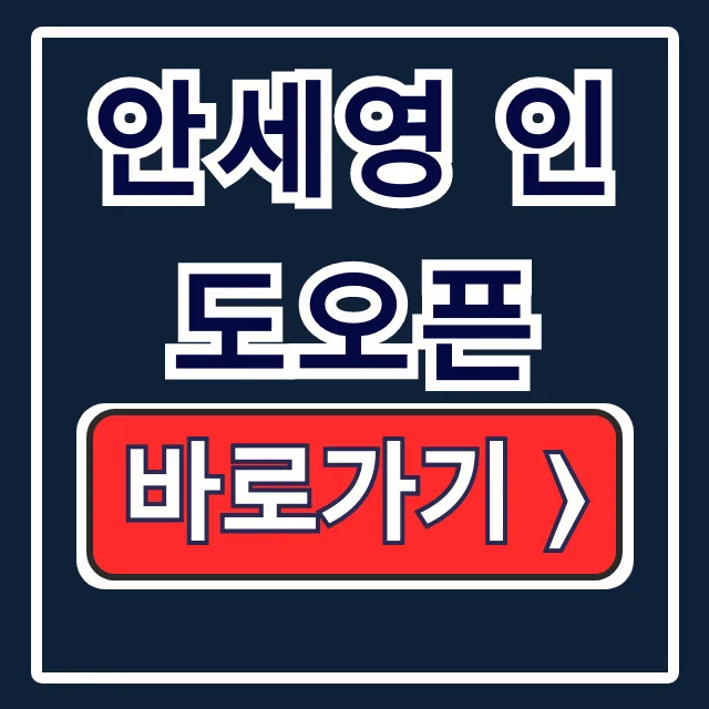 안세영 인도오픈 준결승! 경기 일정·중계 정보